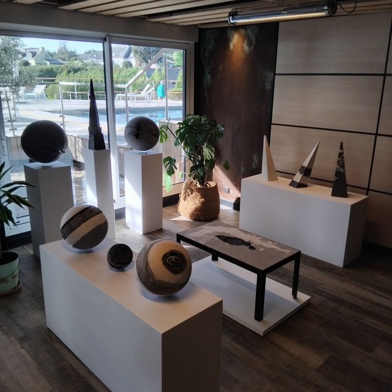 Vue d'ensemble de l'exposition de Franck Roux à l'Hôtel Le Cardinal