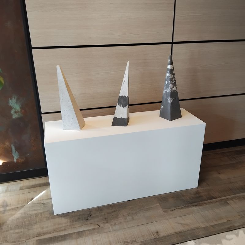 Photographie de l'exposition de Franck Roux à l'Hôtel Le Cardinal