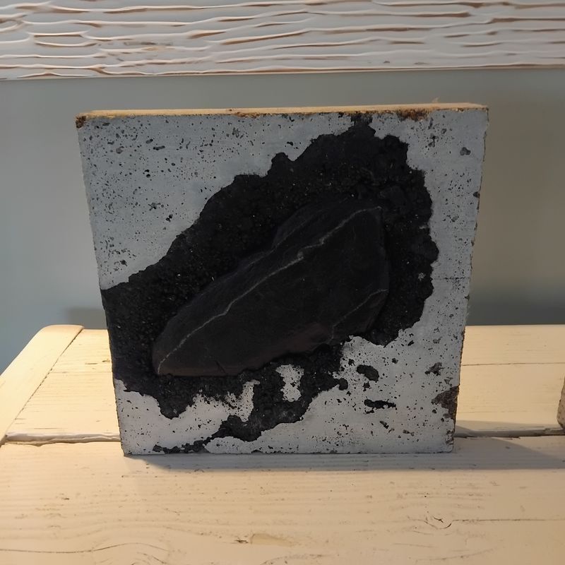 Photographie de l'exposition de Franck Roux à l'Hôtel Le Cardinal