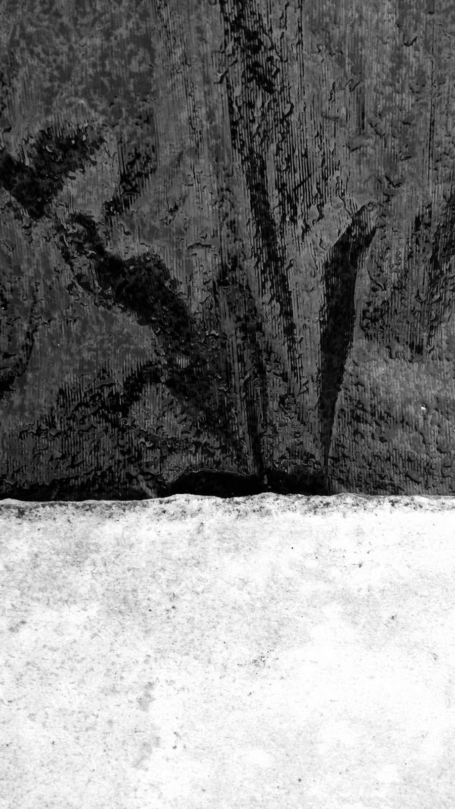 Nonclasse béton 221