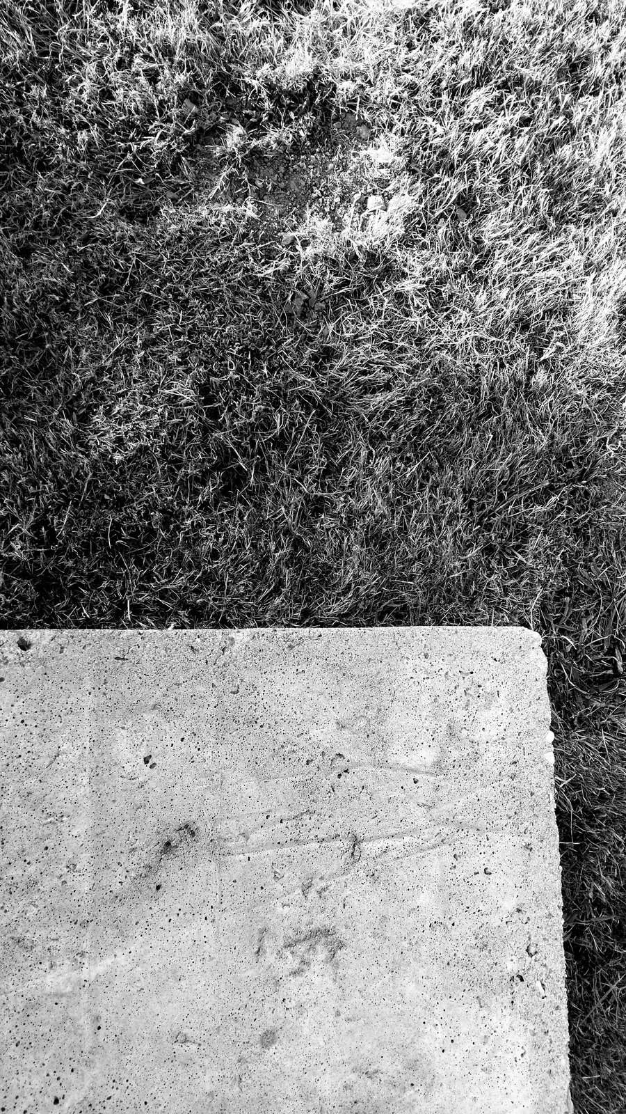 Nonclasse béton 244