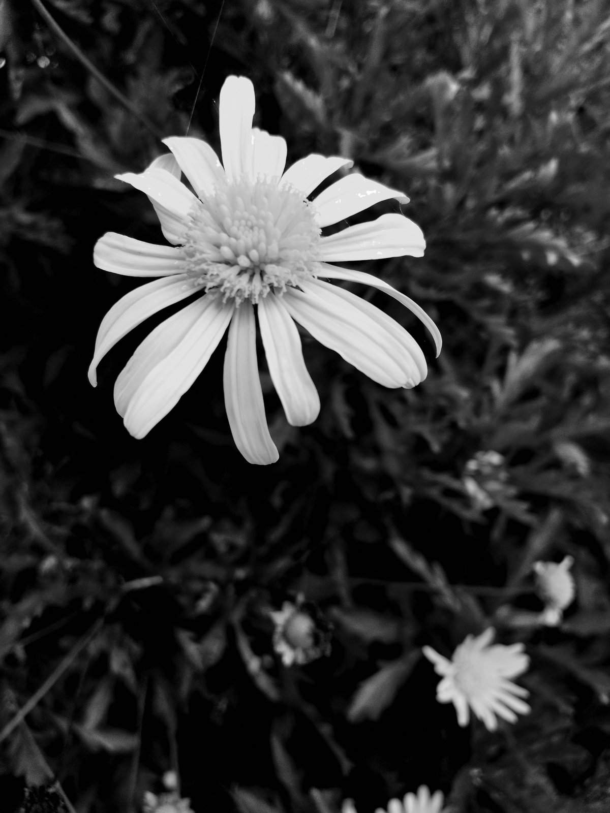 Nonclasse photographie 017