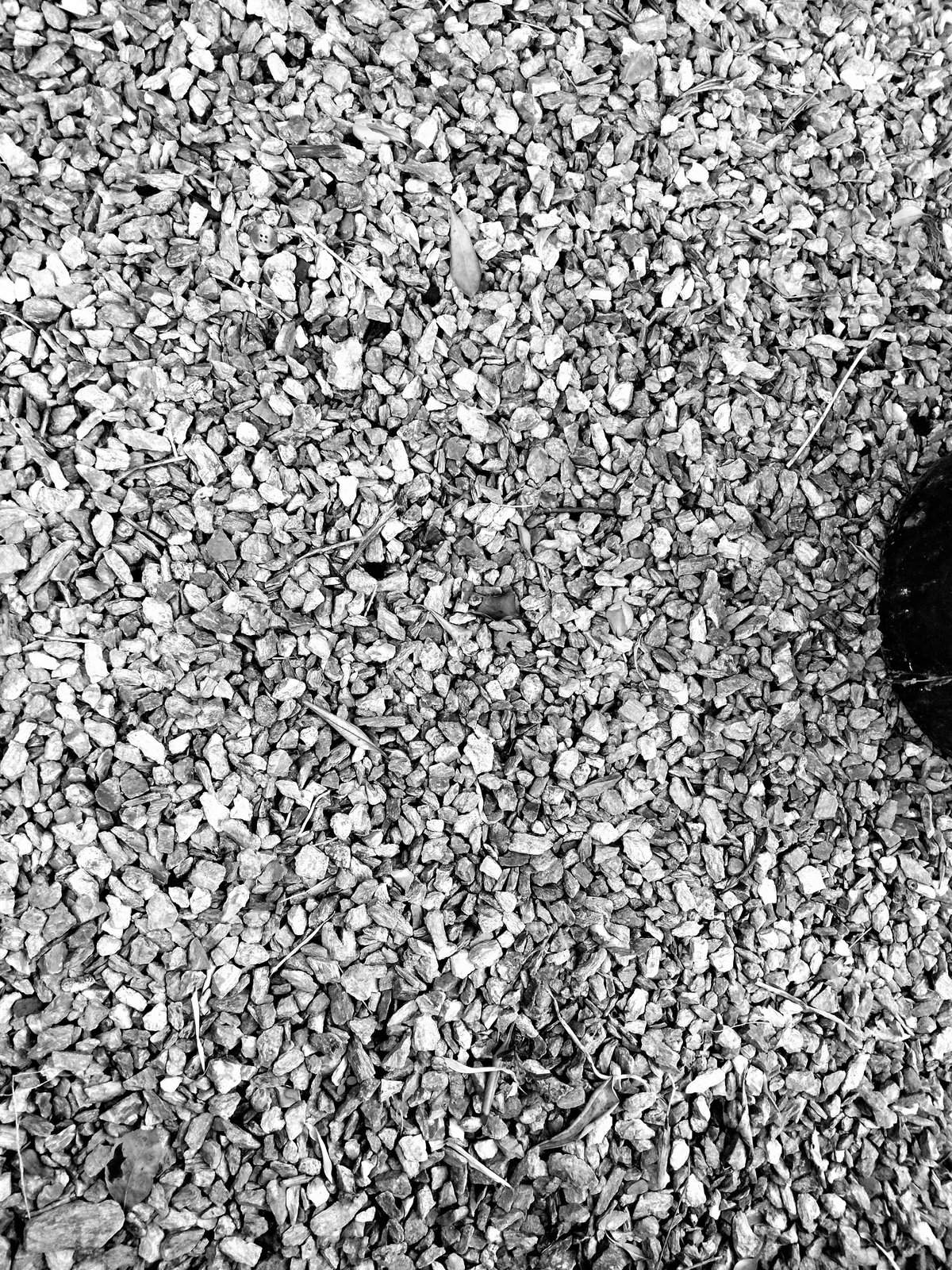 Nonclasse photographie 018