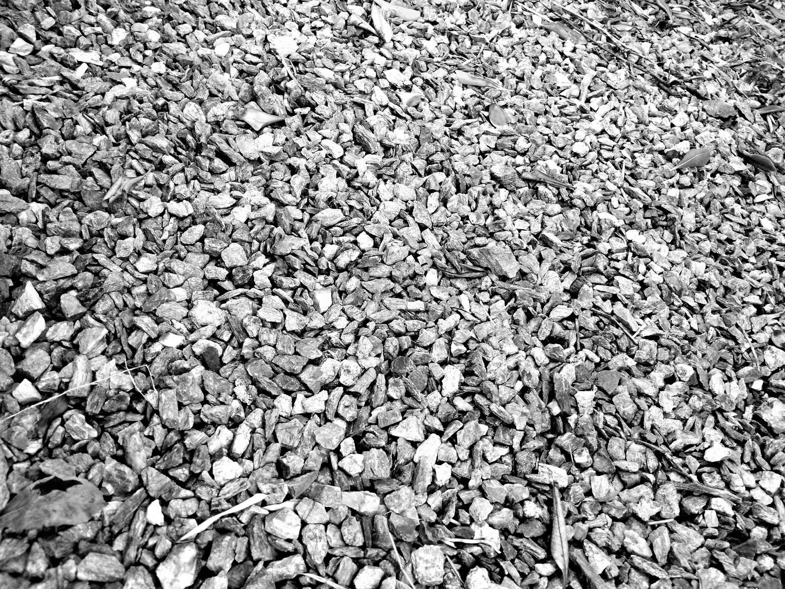 Nonclasse photographie 019