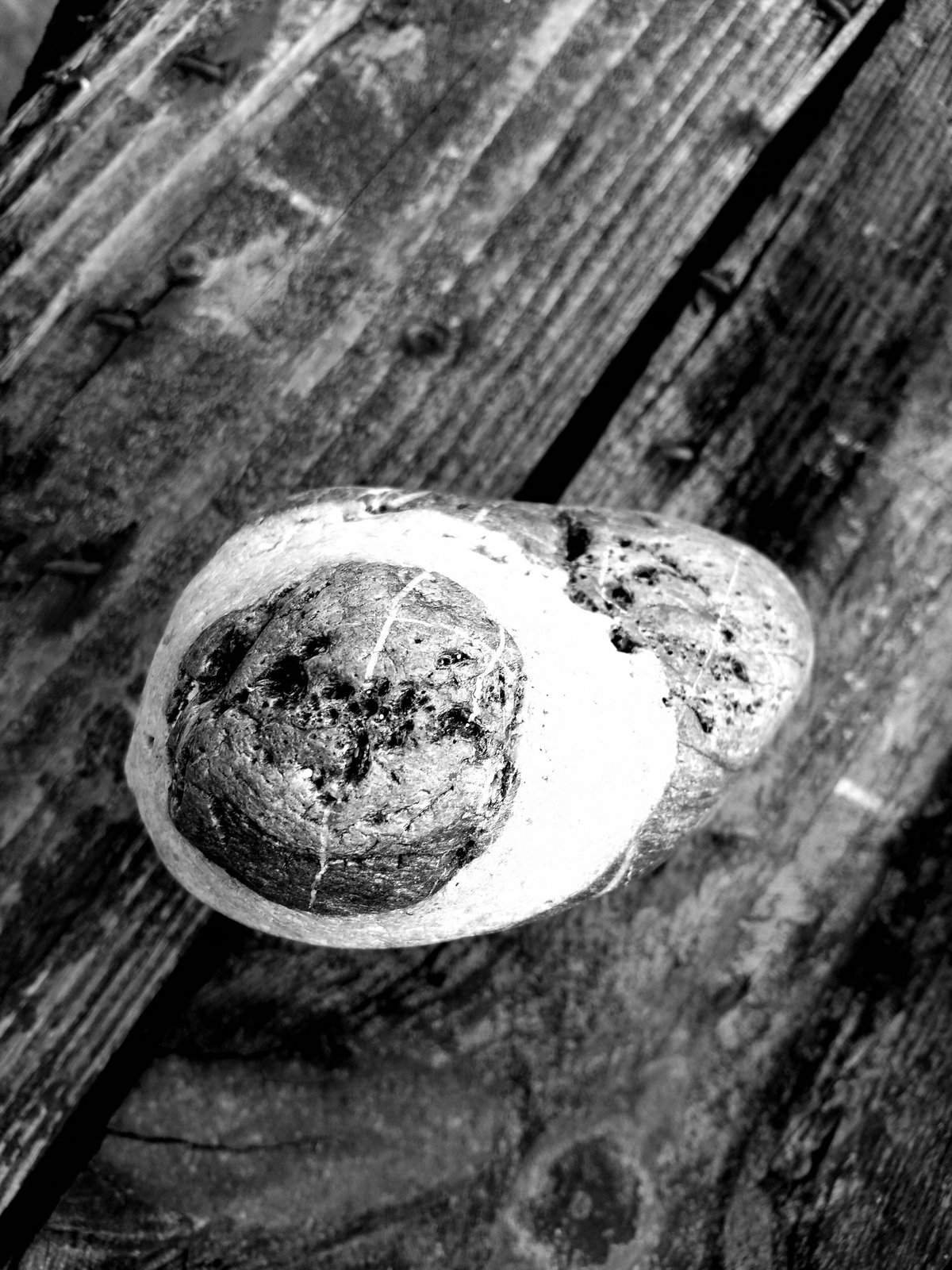 Nonclasse photographie 140