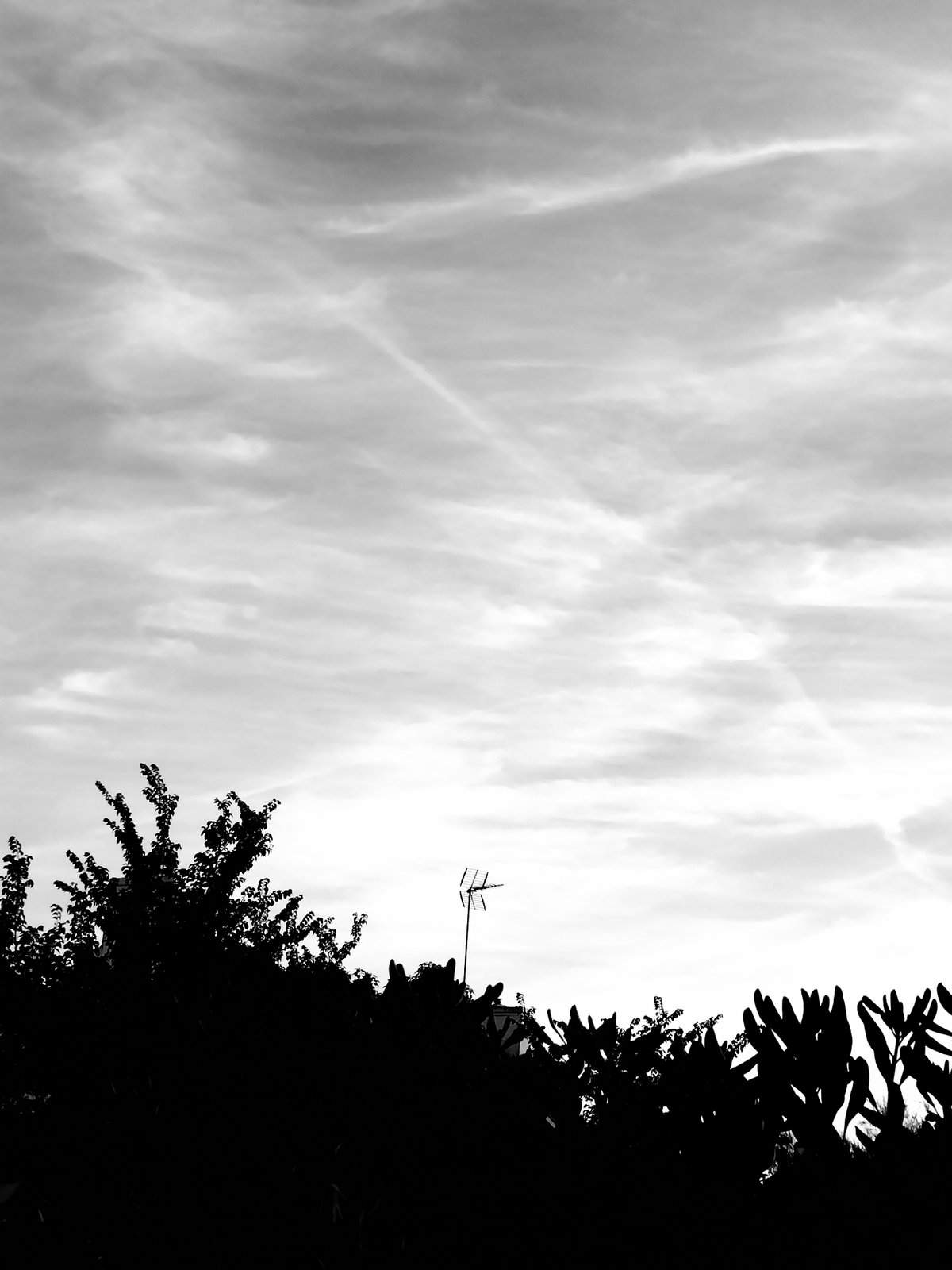 Nonclasse photographie 026