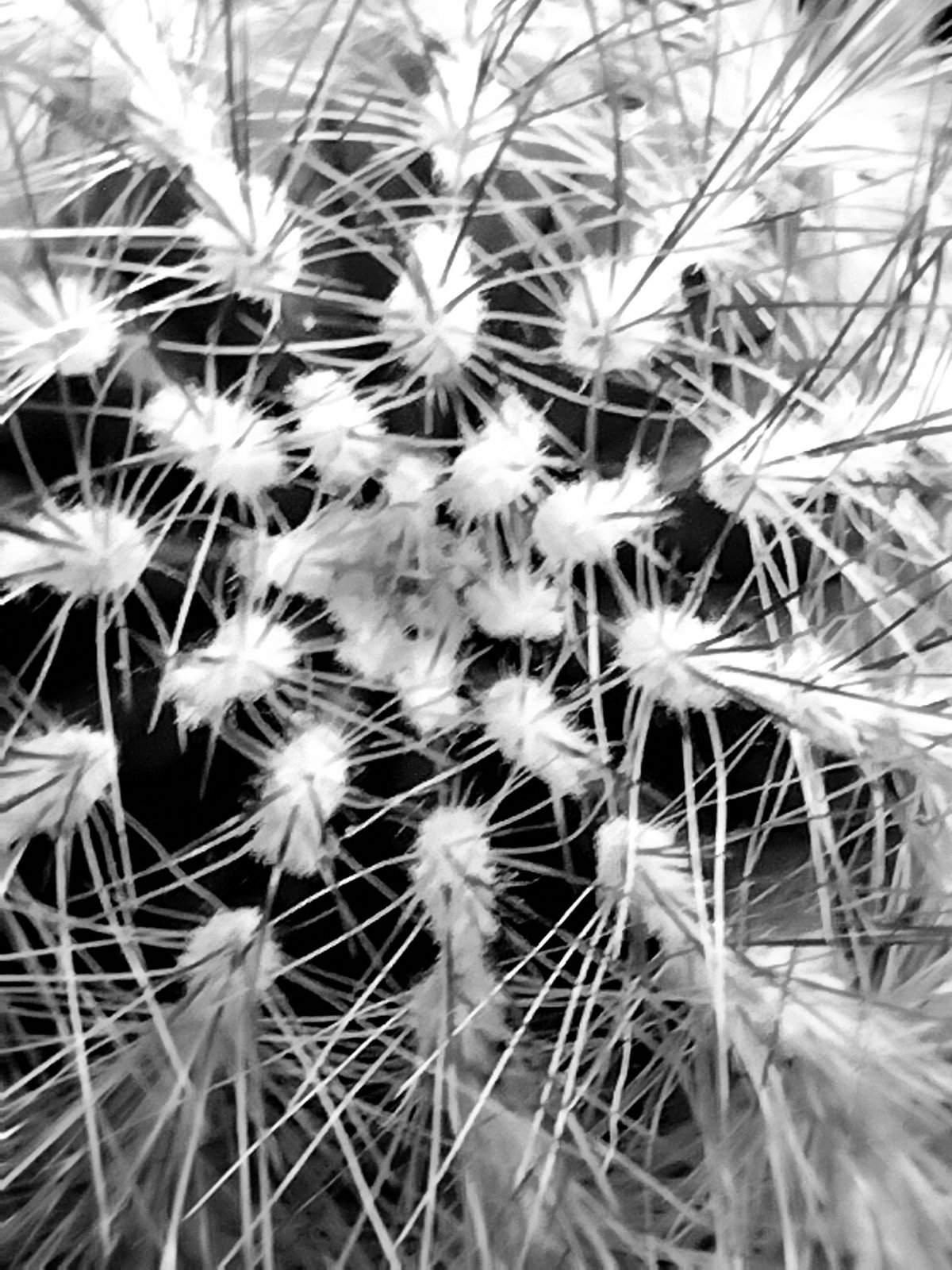 Nonclasse photographie 032