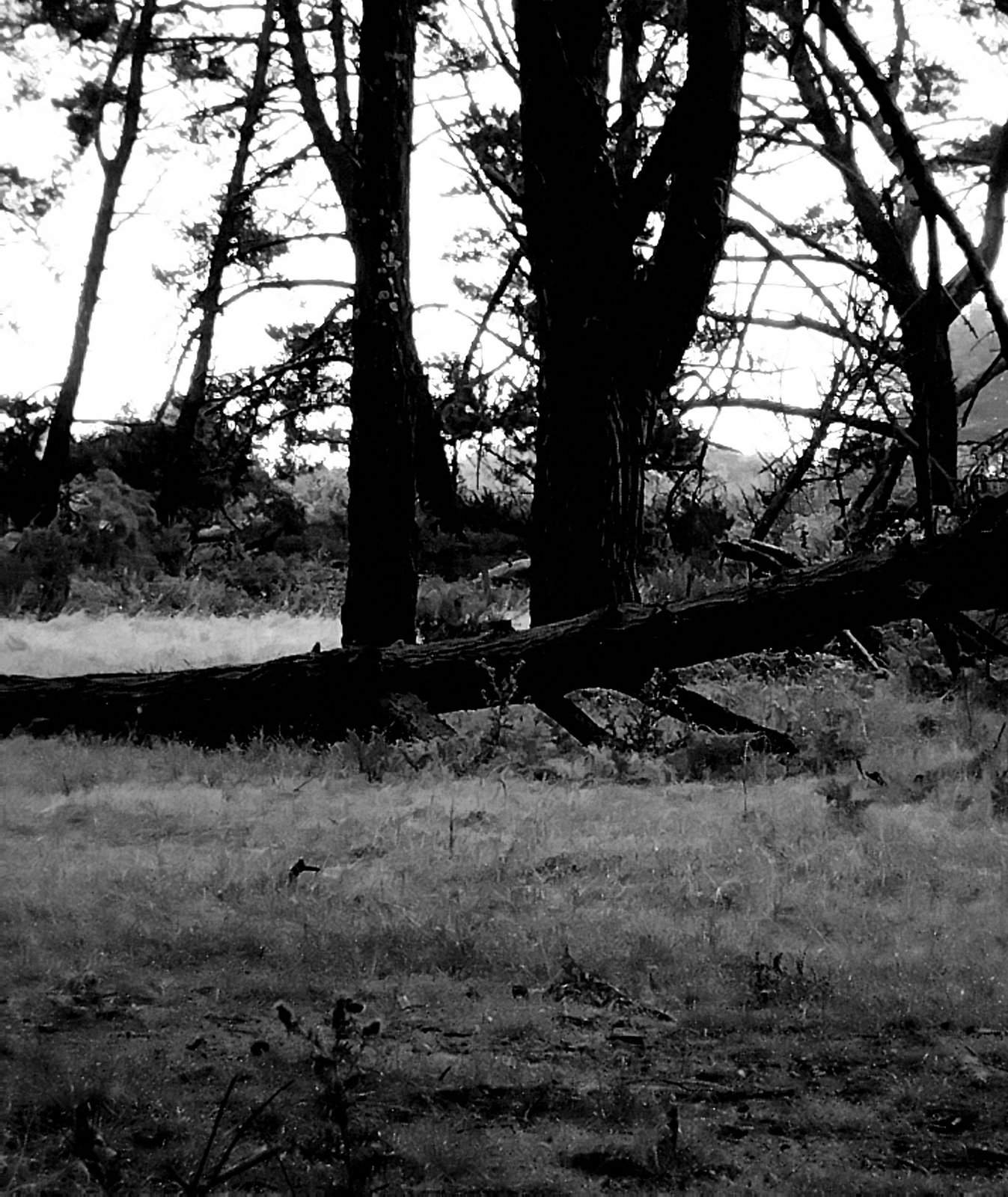 Nonclasse photographie 034