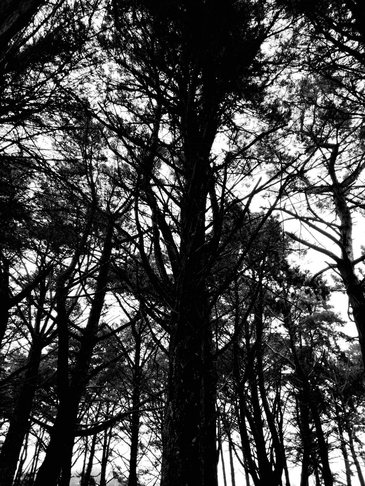 Nonclasse photographie 036