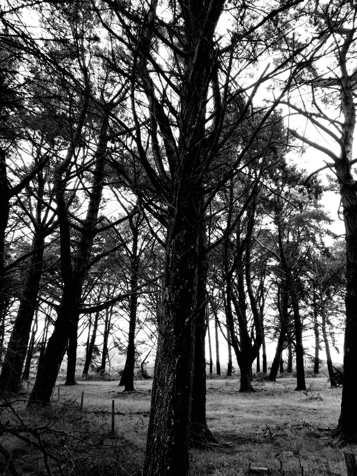 Nonclasse photographie 037