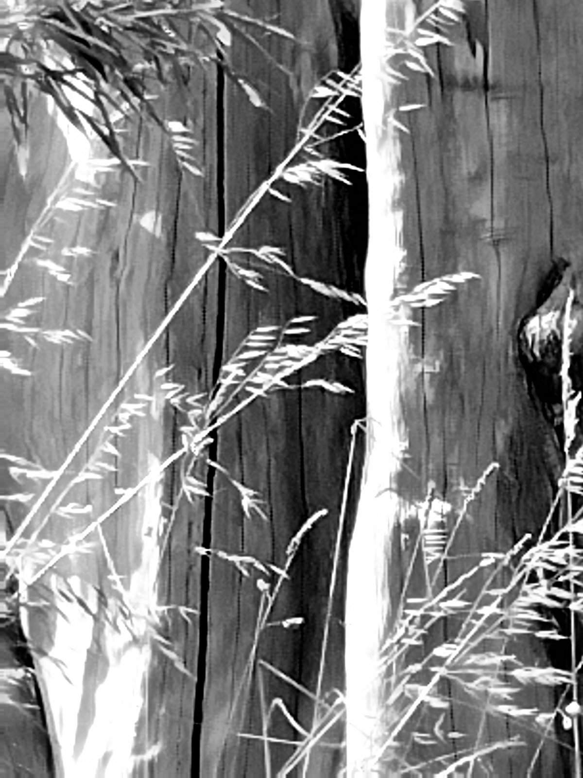 Nonclasse photographie 039