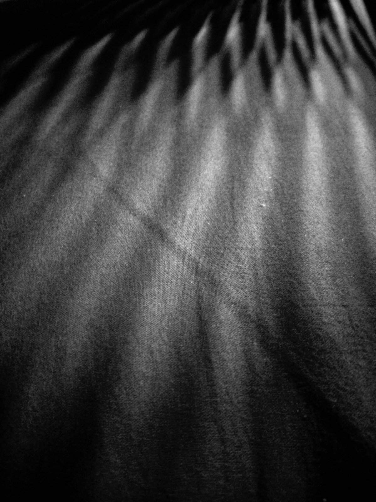 Nonclasse photographie 068