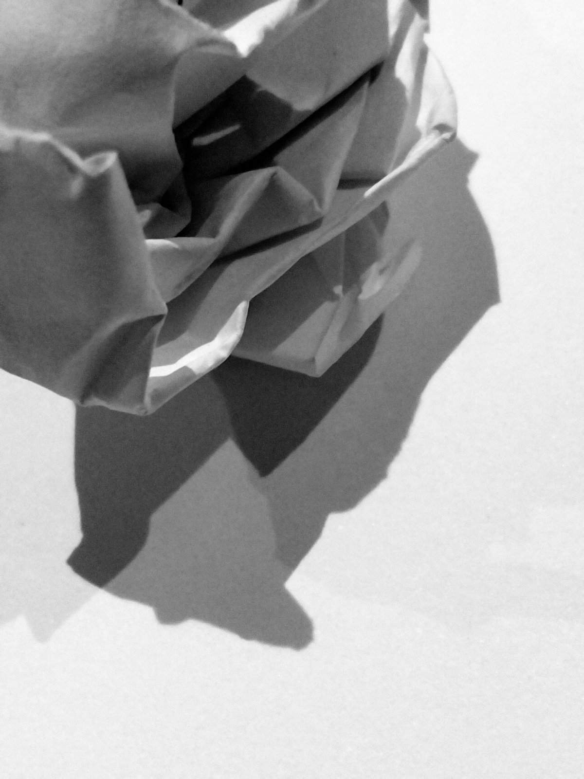 Nonclasse photographie 149