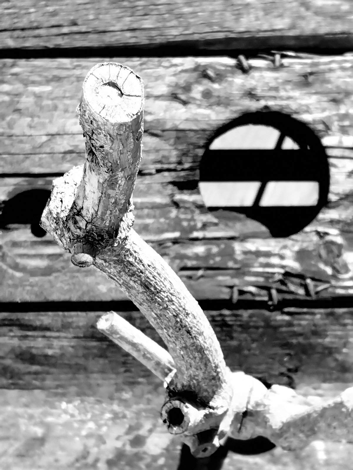 Nonclasse photographie 152