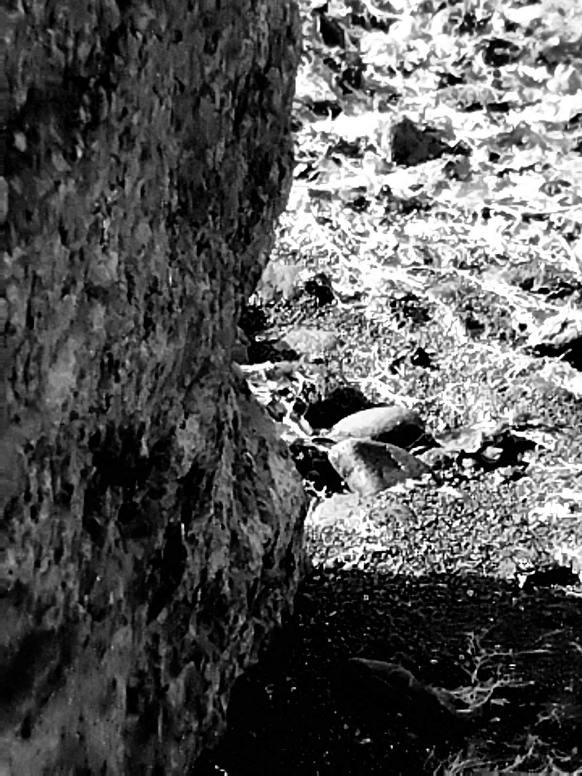 Nonclasse photographie 226