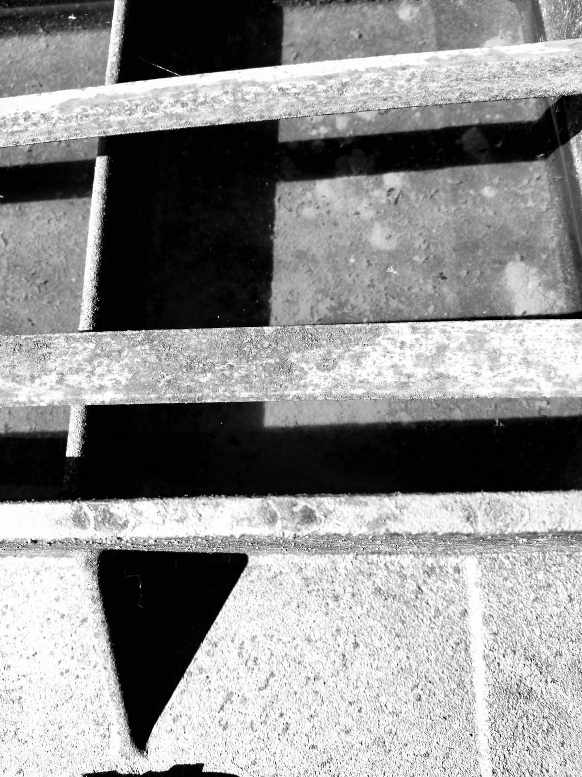 Nonclasse photographie 517
