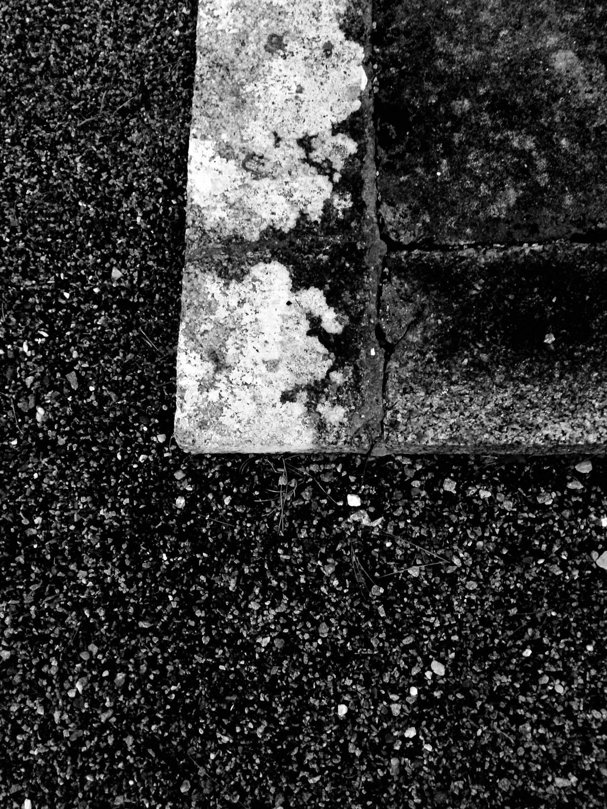 Nonclasse photographie 546