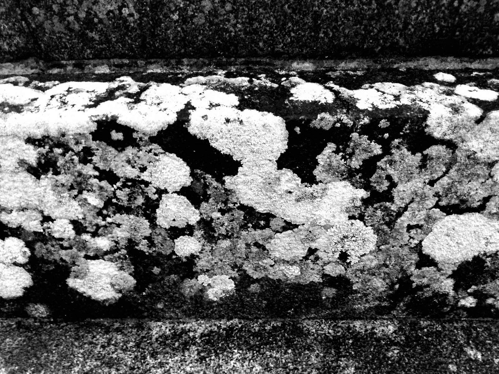 Nonclasse photographie 574