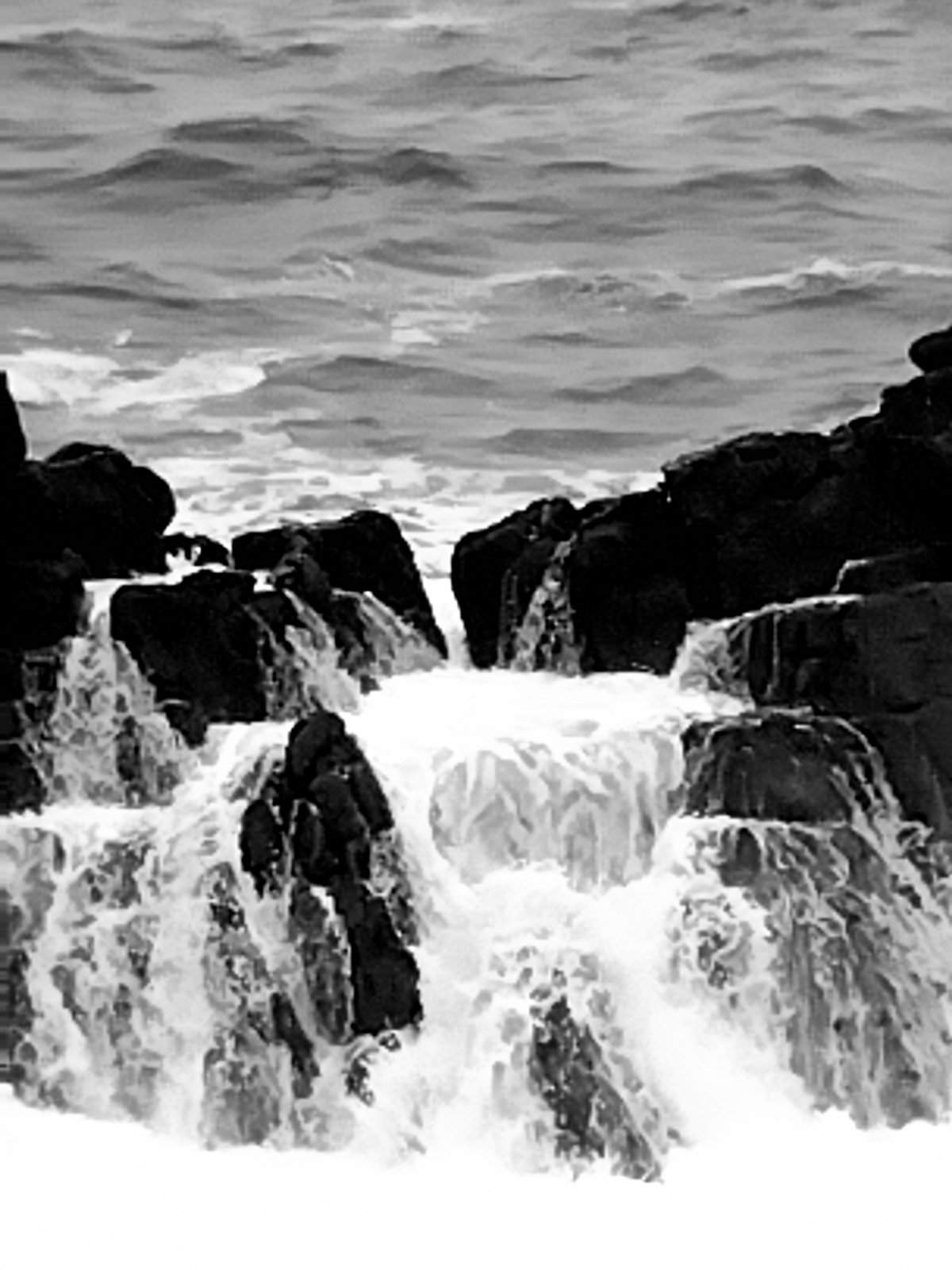 Nonclasse photographie 646