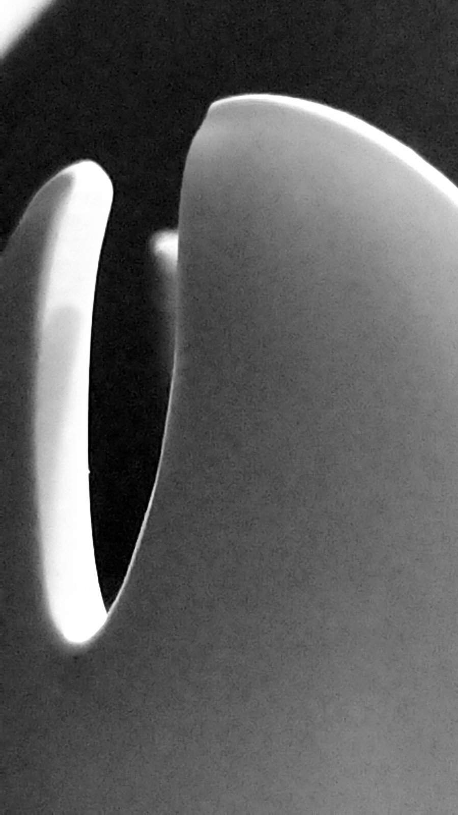 Nonclasse photographie 651