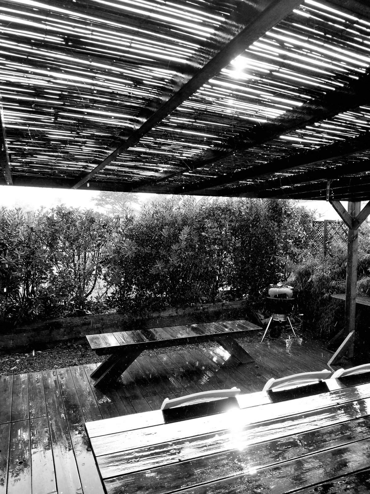Nonclasse photographie 667