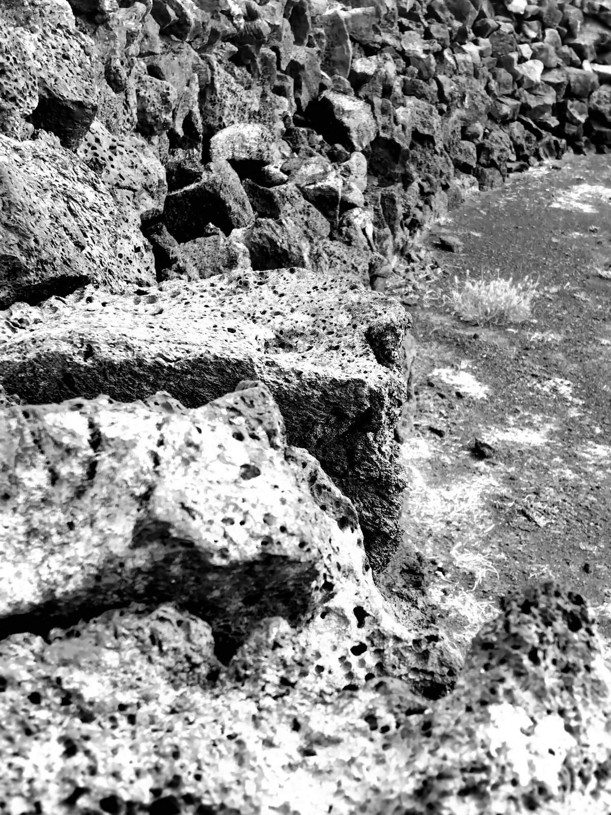Nonclasse photographie 677